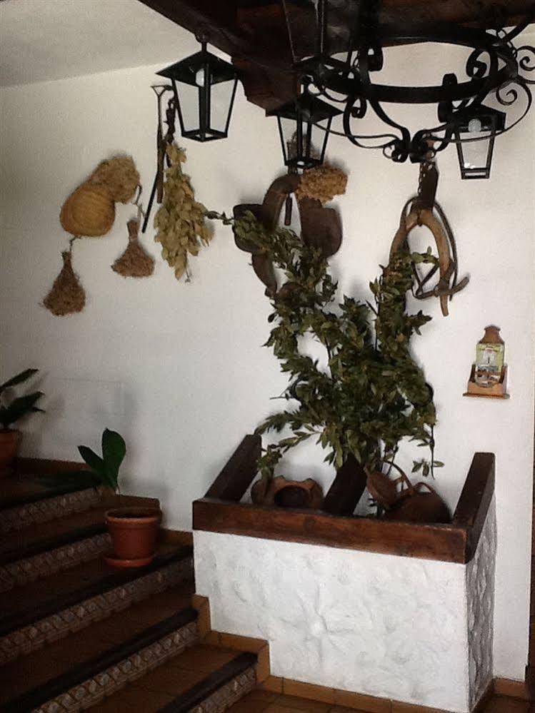 Hotel Posada San Antonio El Bosque Extérieur photo